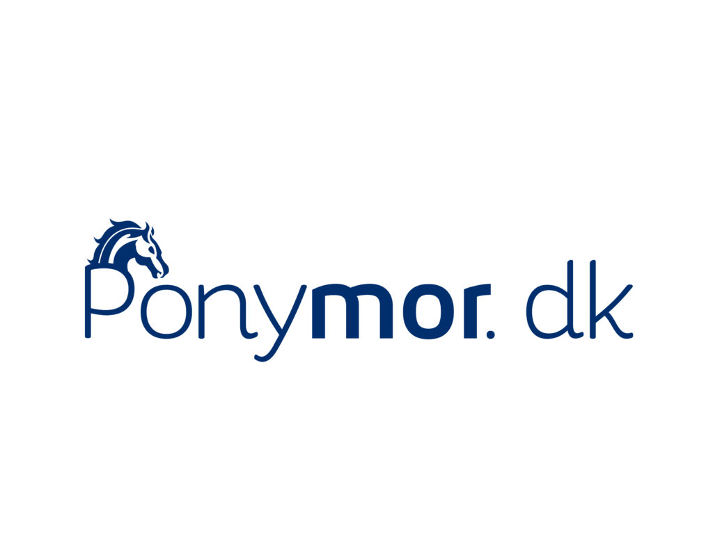hvad kræver det at have en pony - ponykøb - online kursus