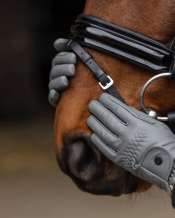 GRÅ Covalliero Vinter Ridehandsker Str - Hestezonen  - 4018653334287